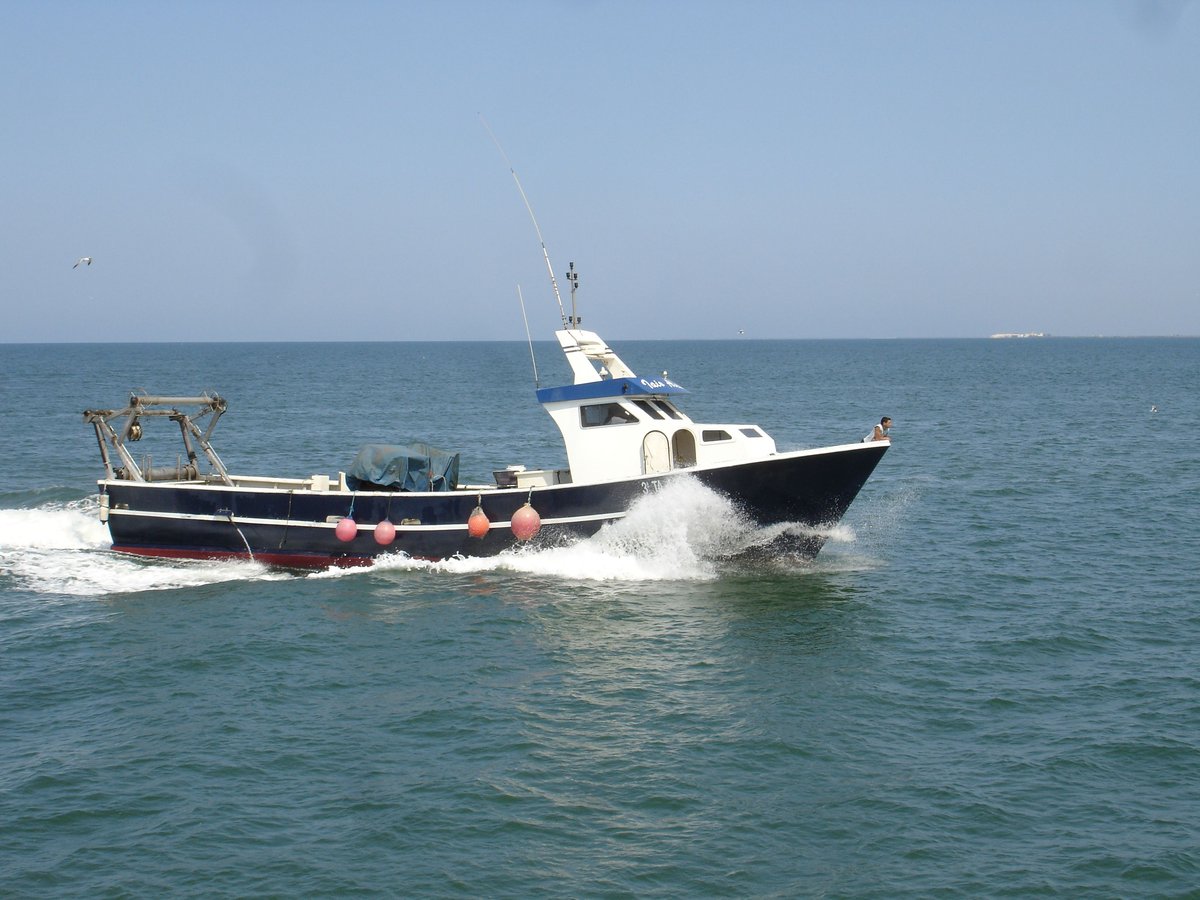 Imagen de Capitol 7 - 2000